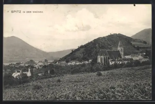 AK Spitz in der Wachau, Ortspanorama mit Kirche und Weinbergen