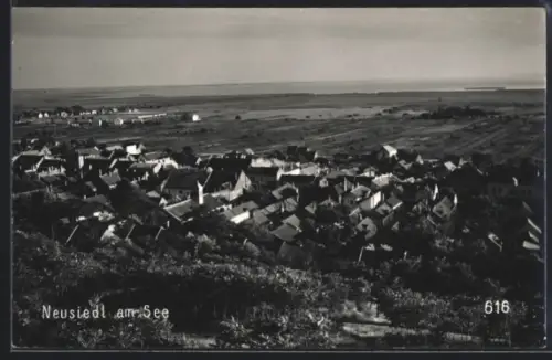 AK Neusiedl am See, Ortsansicht mit See im Hintergrund