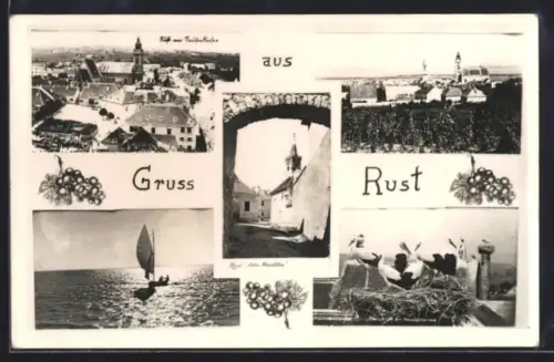 AK Rust, Segelboot am See, Storchennest, Ortsansicht mit Kirche