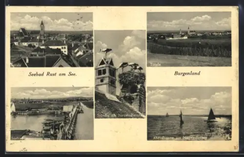 AK Rust am See, Störche am Neusiedlersee, Abendstimmung