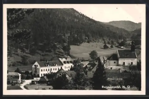 AK Raisenmarkt /N. Ö., Panorama mit Wohnhäusern