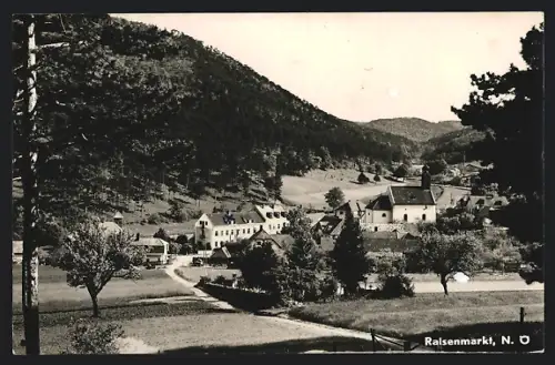 AK Raisenmarkt /N.-Ö., Ortsansicht mit bewaldetem Hügel