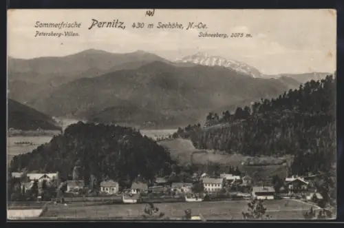 AK Pernitz /N.-Ö., Ortsansicht mit Petersberg-Villen und Schneeberg-Panorama