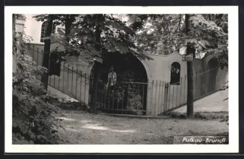 AK Pulkau, Bründl mit Bäumen