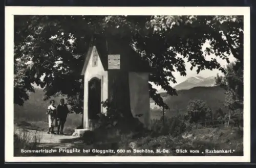 AK Prigglitz bei Gloggnitz, Blick vom Raxbankerl