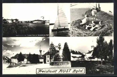 AK Rust /Bgld., See-Strandbad, Kirche, Storchennest