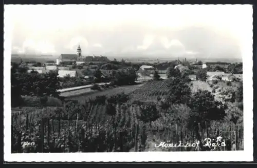 AK Mönchhof /Bgld., Panorama mit Kirche