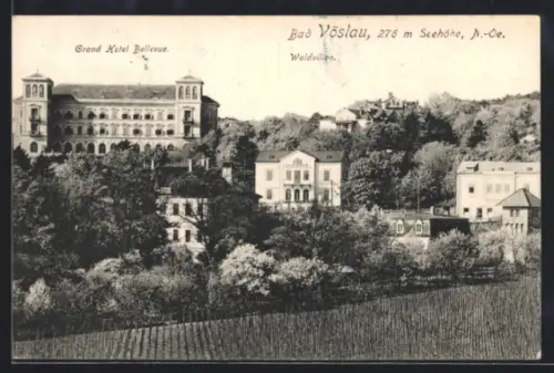 AK Bad Vöslau /N.-Öe., Grand Hotel Bellevue, Waldvillen