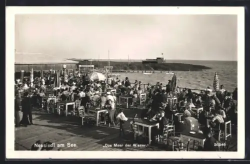 AK Neusiedl am See, Seeterrasse mit zahlreichen Gästen