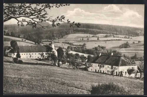 AK Eidenberg /Mühlkreis, Ortspartie