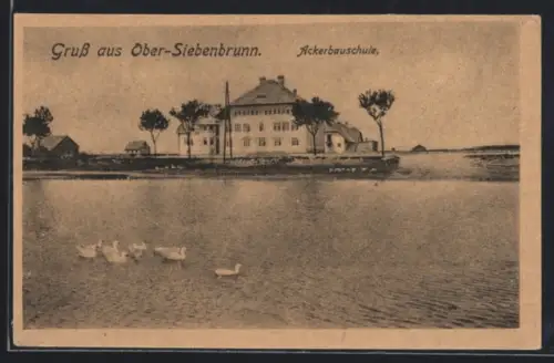 AK Ober-Siebenbrunn, Ackerbauschule