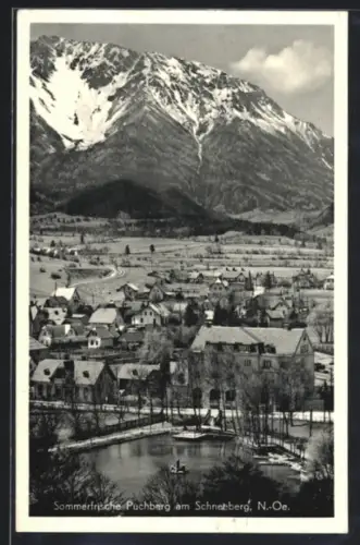 AK Puchberg am Schneeberg, Ort mit Teich und Bergpanorama