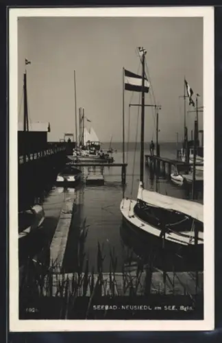AK Neusiedl am See, Hafen mit Segelbooten und Stegen