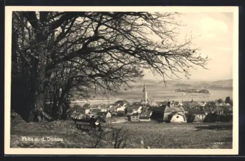 AK Ybbs a. d. Donau, Ortsansicht mit Kirche