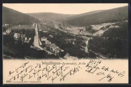 AK Weidlingau-Purkersdorf /N.-Ö., Panorama mit Strassenpartie