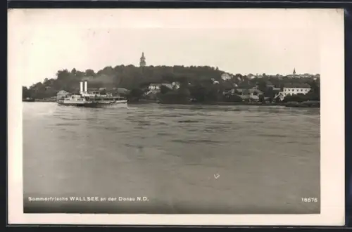 AK Wallsee an der Donau, Panorama mit Dampfschiff