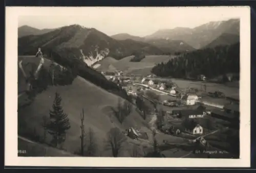 AK St. Aegyd a. N., Ortsansicht im Bergtal