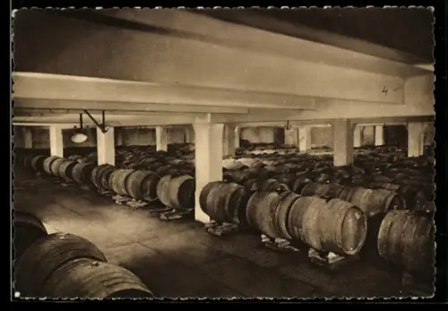 AK Épernay, Champagne de Castellane, Un cellier de vins en réserve