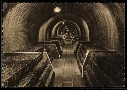 AK Épernay, Champagne de Castellane, Vins sur pointes en masses