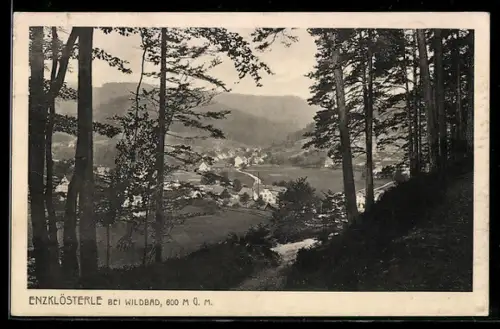 AK Enzklösterle b. Wildbad, Gesamtansicht