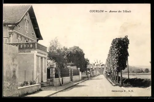 AK Courlon, Avenue des Tilleuls