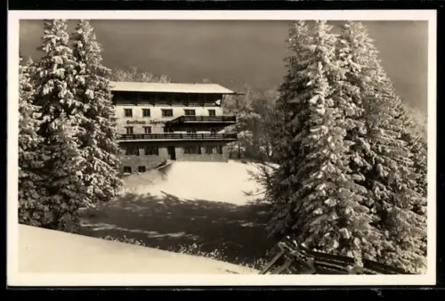 AK Feldberg, Gasthaus Jägermatt im Winter