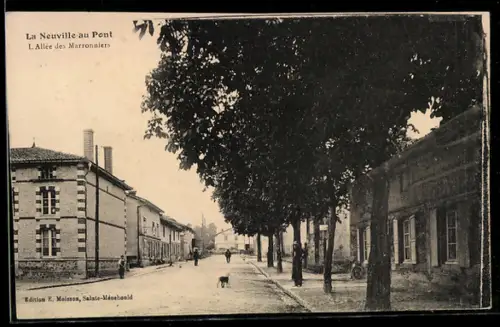 AK La Neuville au Pont, L`Allee des Marronniers