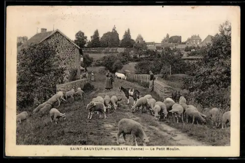 AK Saint-Sauveur-en-Puisaye /Yonne, Le Petit Moulin et troupeau de moutons sur le chemin