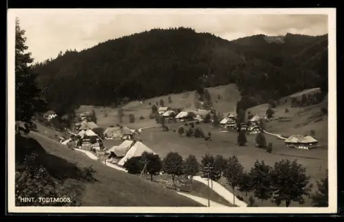 AK Hinter-Todtmoos, Totale mit Gebirge