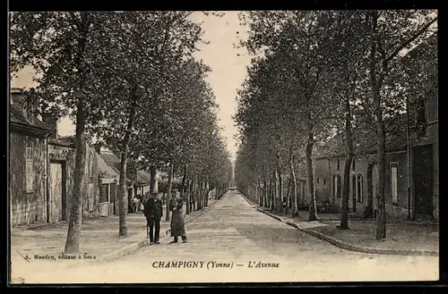 AK Champigny, l'Avenue