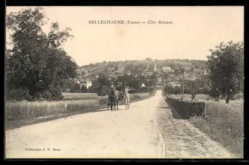 AK Bellechaume, Côté Brienon