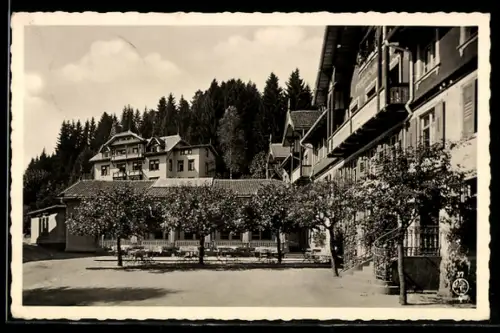 AK Friedenweiler /Hochschwarzwald, Hotel und Kurhaus Friedenweiler