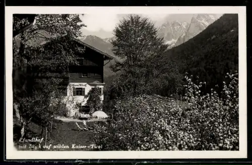 AK Ebbs, Pfandlhof mit Blick auf wilden Kaiser