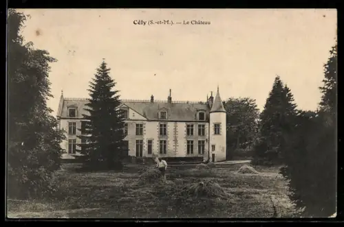 AK Cély /S.-et-M., Le Château