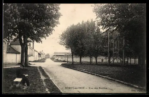 AK Rozoy-en-Brie, Rue des Erables