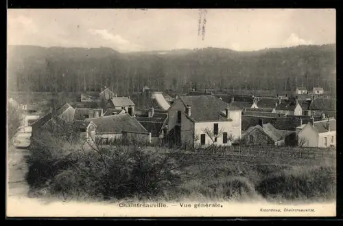 AK Chaintréauville, Vue générale