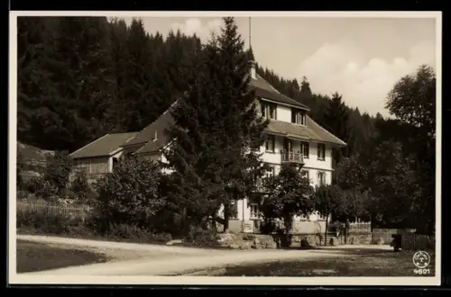 AK Hinterzarten, Gasthof u. Pension Löffelschmiede, Bruderhalde