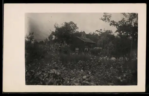 Foto-AK Hersbruck, Gartenbaubetrieb Robert Schulze