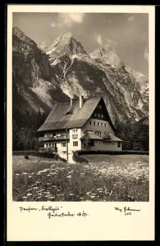AK Hinterstoder, Blick auf die Pension Dietlgut im Frühling, Alpenmassiv