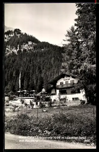 AK Elbigenalp, Wald-Cafe mit Heuberg