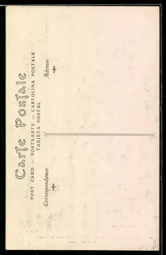 AK Auxerre, Retraite Illuminée 1908, Char des Roses