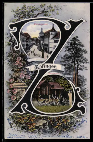 AK Zofingen, Strassenpartie in der Rathausgasse, Hirschpark