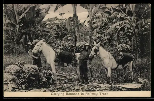 AK Carrying Bananas to Railway Track, Landwirtschaft