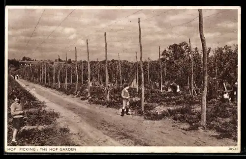 AK Hop Picking: The Hop Garden, Landwirtschaft
