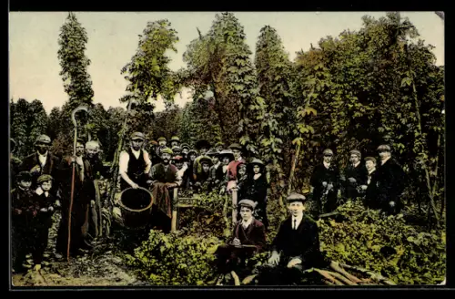 AK Arbeit im Weinberg