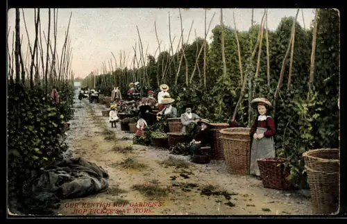 AK Kent, Hop Gardens, Hop Pickers at work, Landwirtschaft