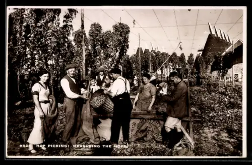 AK Hop Picking, Measuring the Hops, Landwirtschaft