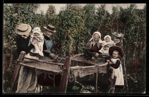 AK Hop Picking, Bauern bei der Hopfenernte, Landwirtschaft