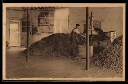 AK Pressing Hops, Arbeiter bei der Hopfenverarbeitung, Landwirtschaft