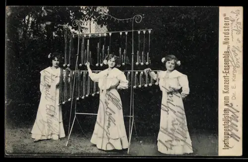 AK Instrumentalisten vom Konzert-Ensemble Nordstern, Dir. E. Karger